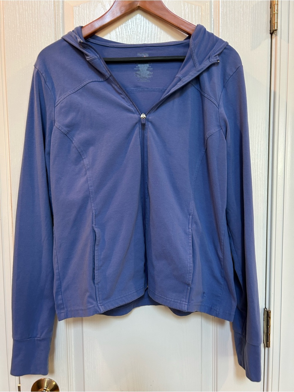 Danskin Zip-Up Hoodie in Dusty Blue
